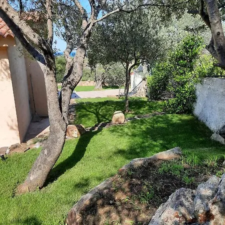 Iss Travel, Sea View Il Corbezzolo - Ground Floor With Air-condition Lejlighed *